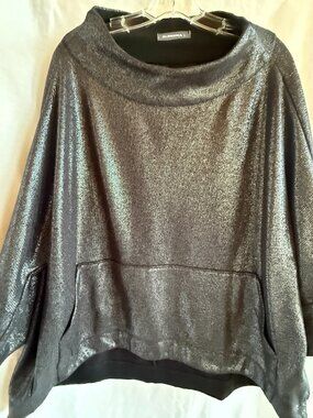 Alembika Roxy Silver Pullover Top